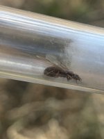 IMG_6704.jpeg