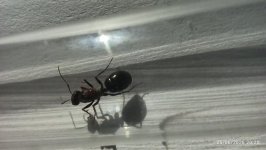 IMG_20260625_202021.jpg