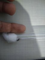 IMG20260626000113.jpg