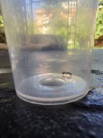 20260626_093954.jpg