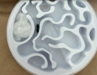 IMG_2358.jpeg