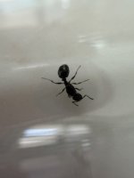 IMG_7596.jpeg
