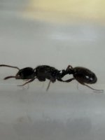 IMG_7598.jpeg