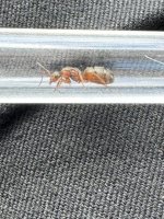 IMG_3391.jpeg