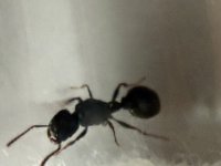 IMG_7628.jpeg