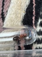 IMG_3397.jpeg