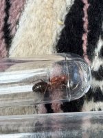 IMG_3398.jpeg
