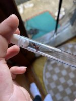 IMG_2287.jpeg