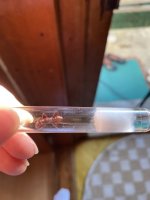 IMG_2292.jpeg