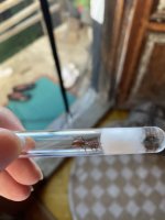 IMG_2291.jpeg