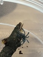 IMG_7529.jpeg