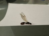 c7e72698-c237-47eb-ba81-de8a3463928a.jpeg