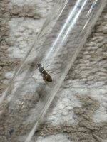 IMG_2058.jpeg