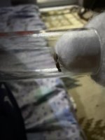 IMG_7157.jpeg