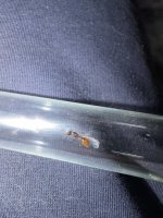 IMG_7170.jpeg
