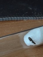 IMG_4961.jpeg