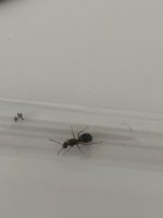 IMG_5829.jpeg