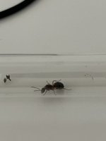 IMG_5828.jpeg