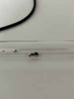 IMG_5827.jpeg