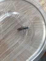 IMG_1099.jpeg