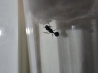 20260627_231415.jpg
