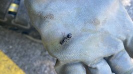 IMG_6413.jpeg