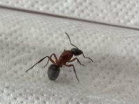 IMG_2469.jpeg