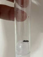IMG_5832.jpeg