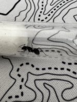 IMG_7676.jpeg