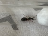 IMG_2476.jpeg