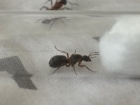 IMG_2477.jpeg