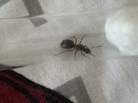 IMG_2478.jpeg