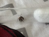 IMG_2480.jpeg
