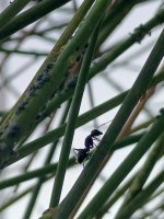 IMG_20260628_201003_058.jpg