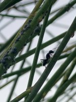 IMG_20260628_201004_243.jpg