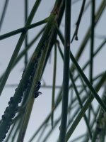 IMG_20260628_201057_454.jpg