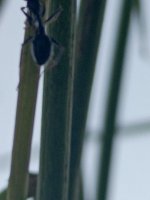 IMG_20260628_201100_021.jpg