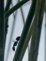 IMG_20260628_201116_419.jpg