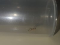 20260628_211644.jpg