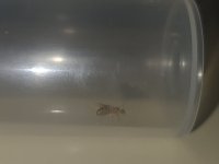 20260628_211641.jpg