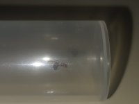 20260628_211625.jpg