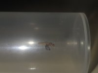 20260628_211632.jpg