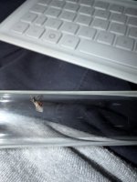 IMG_7191.jpeg