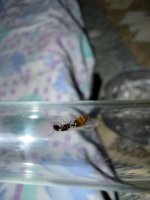 IMG_7196.jpeg