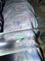 IMG_7193.jpeg