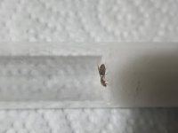 20260628_222402.jpg