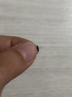 IMG_0763.jpeg