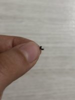IMG_0764.jpeg