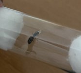 IMG_3773.jpeg