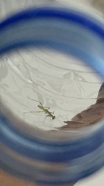 IMG_1491.jpeg